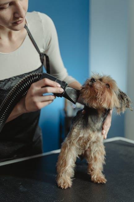 Maintaining a Regular⁢ Grooming Schedule