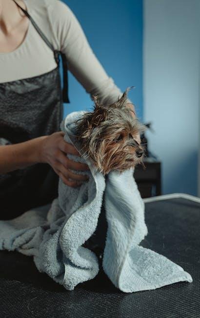 Preparing Your Puppy for Grooming Success