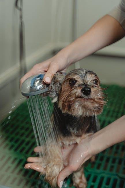 Post-Bath Care and Positive Reinforcement Strategies