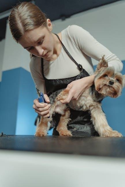Choosing the Right Tools: ​A Guide for Every Breed