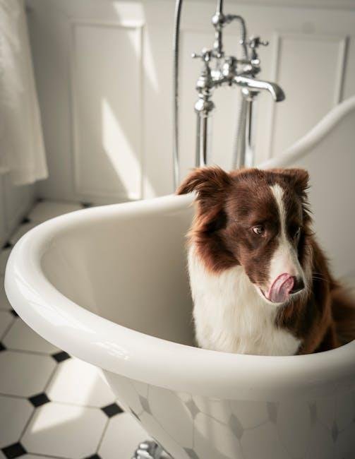 Understanding the Importance of Regular Ear Cleaning for Dogs