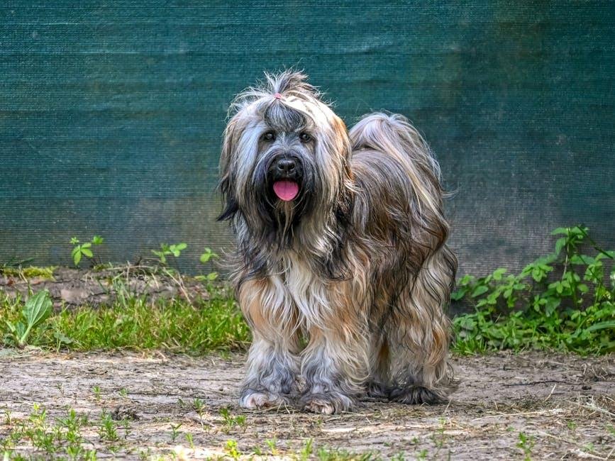 Exploring‌ the⁤ Benefits of Dog Cologne and⁢ Sprays ‌for Your ​Canine Companion