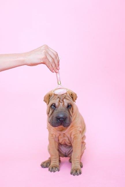 Signs Your Dog Is Anxious During Grooming