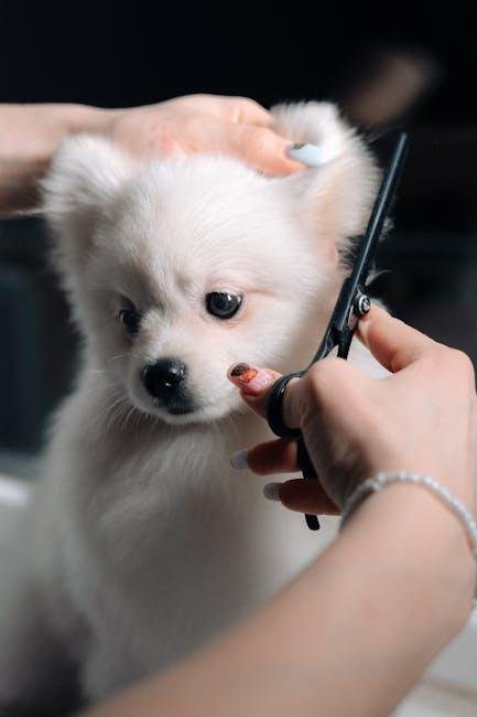 Essential Tools Every New Puppy Owner Needs