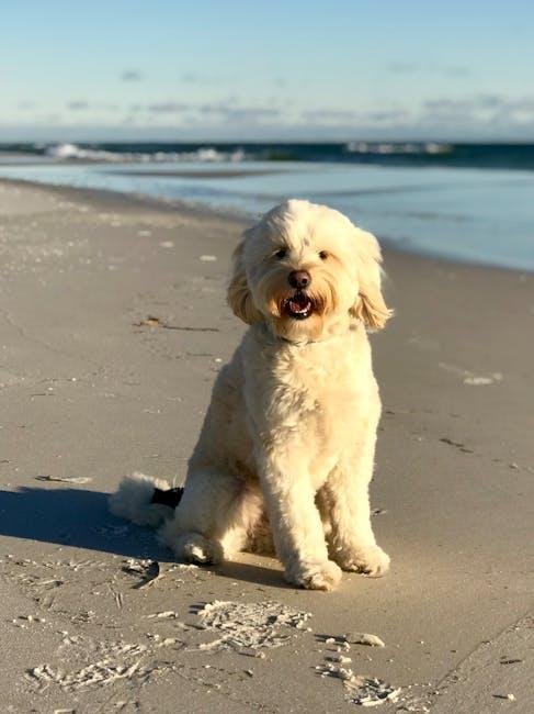 Choosing‌ the Right Diet for a Lustrious Coat