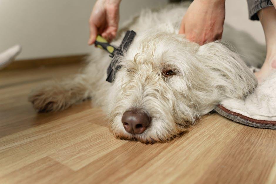 Gradual Techniques for Prosperous Brushing ‍Sessions